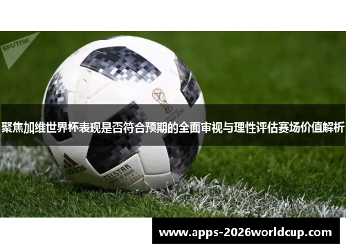 聚焦加维世界杯表现是否符合预期的全面审视与理性评估赛场价值解析